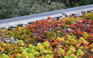 the cost of Tolleshunt Knights green roof installation