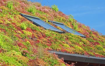 Tolleshunt Knights living roof systems